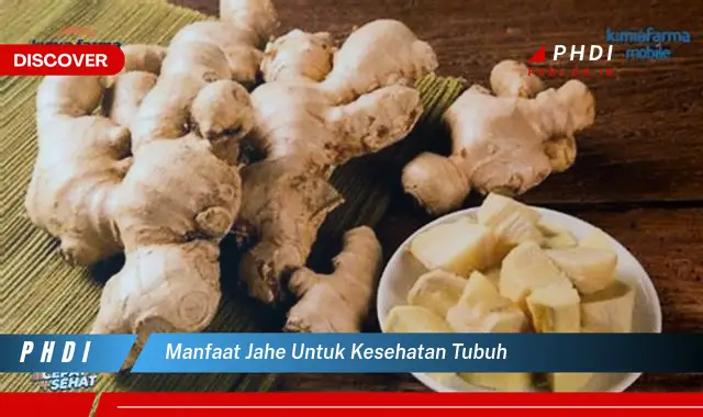 manfaat jahe untuk kesehatan tubuh