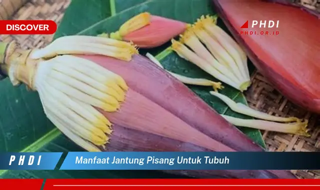 manfaat jantung pisang untuk tubuh