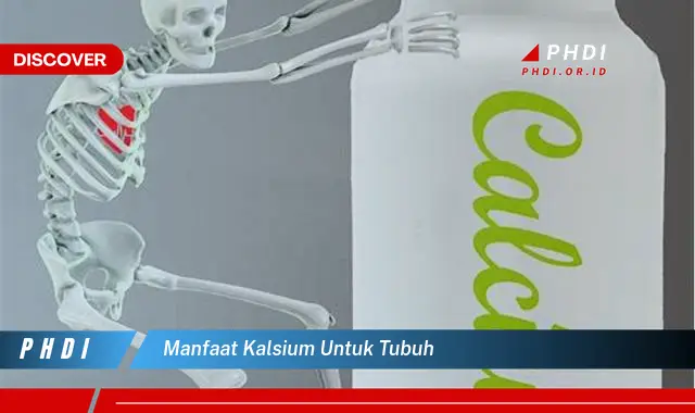 manfaat kalsium untuk tubuh