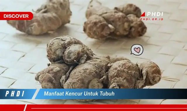 manfaat kencur untuk tubuh