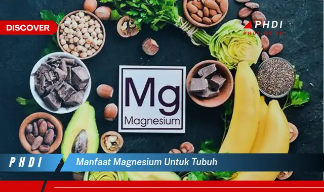 manfaat magnesium untuk tubuh