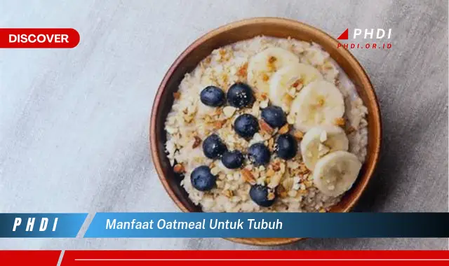 manfaat oatmeal untuk tubuh