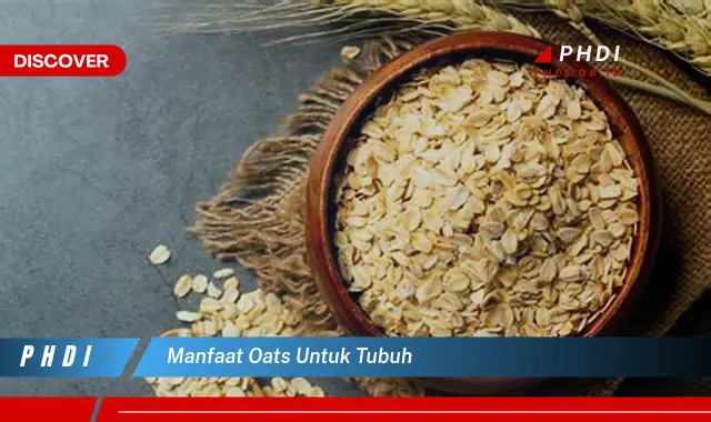 manfaat oats untuk tubuh