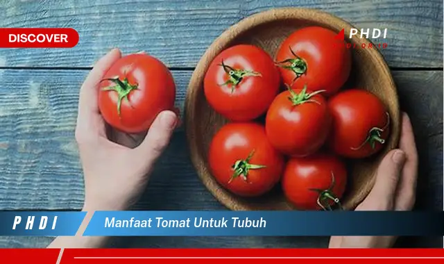 manfaat tomat untuk tubuh