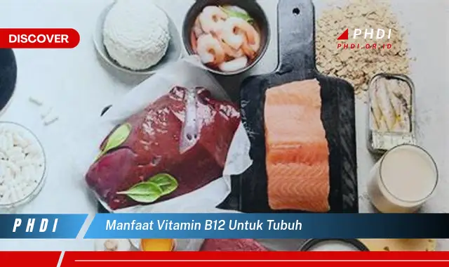 manfaat vitamin b12 untuk tubuh