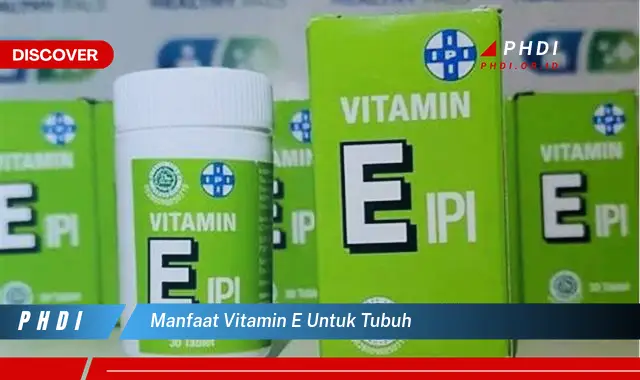 manfaat vitamin e untuk tubuh