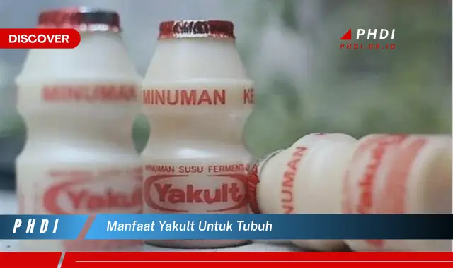 manfaat yakult untuk tubuh