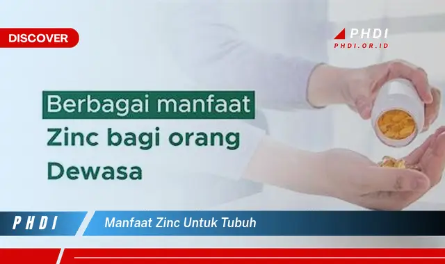 manfaat zinc untuk tubuh