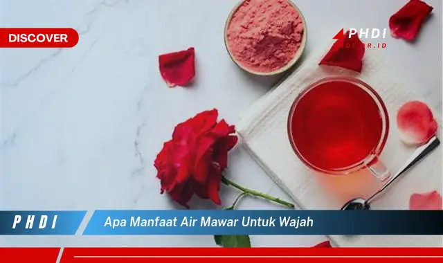 apa manfaat air mawar untuk wajah