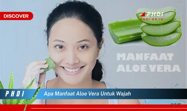 Temukan 7 Manfaat Aloe Vera untuk Wajah yang Wajib Kamu Intip