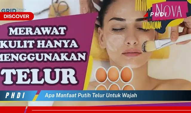 apa manfaat putih telur untuk wajah