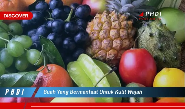 buah yang bermanfaat untuk kulit wajah