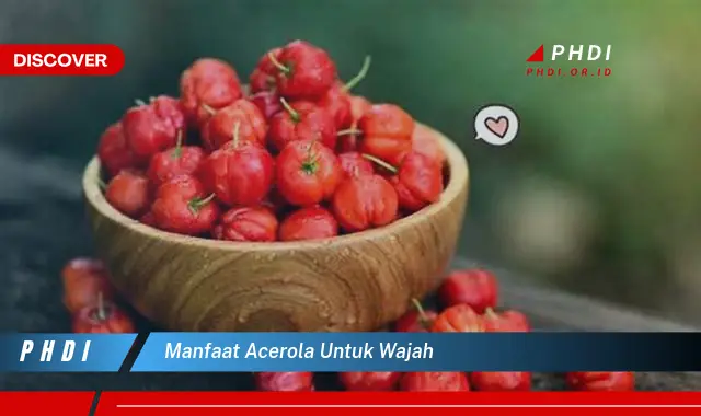 manfaat acerola untuk wajah