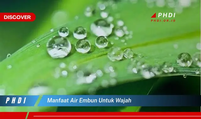 manfaat air embun untuk wajah