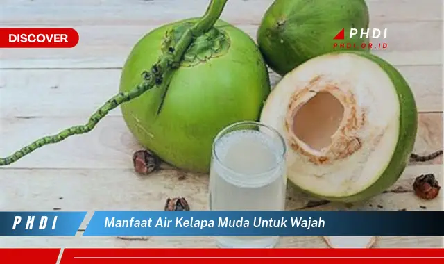 manfaat air kelapa muda untuk wajah