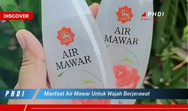 manfaat air mawar untuk wajah berjerawat