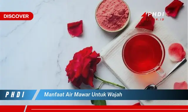 manfaat air mawar untuk wajah