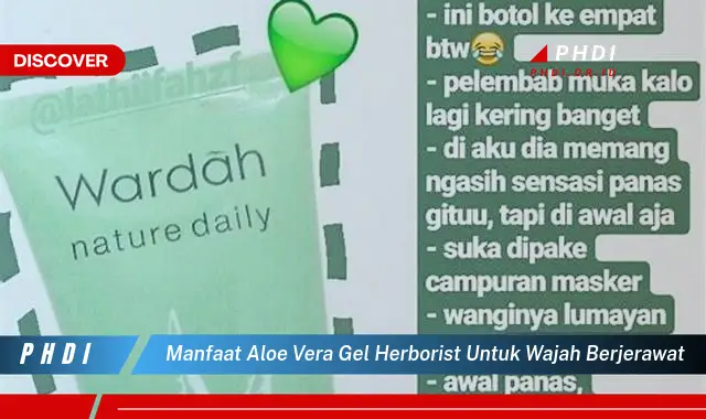 manfaat aloe vera gel herborist untuk wajah berjerawat