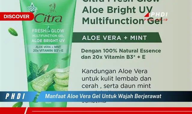 Temukan 7 Manfaat Aloe Vera Gel untuk Wajah Berjerawat yang Bikin Kamu Penasaran