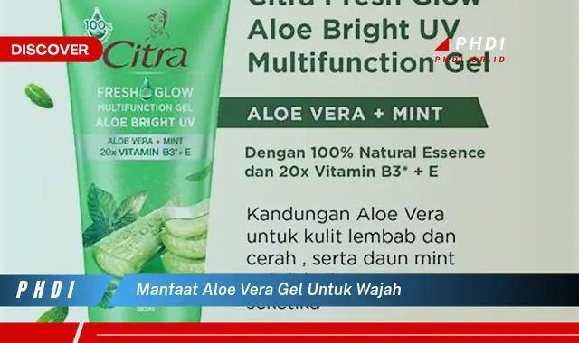 manfaat aloe vera gel untuk wajah