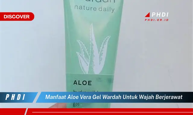 Temukan Manfaat Aloe Vera Gel Wardah untuk Wajah Berjerawat yang Wajib Kamu Intip