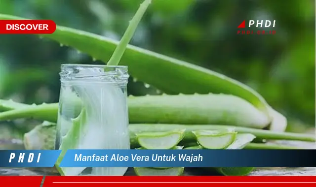 manfaat aloe vera untuk wajah