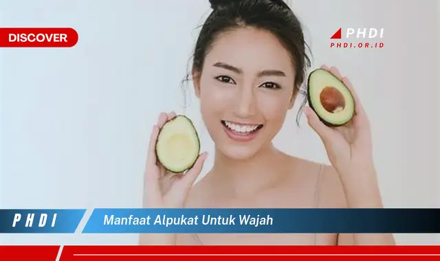 manfaat alpukat untuk wajah