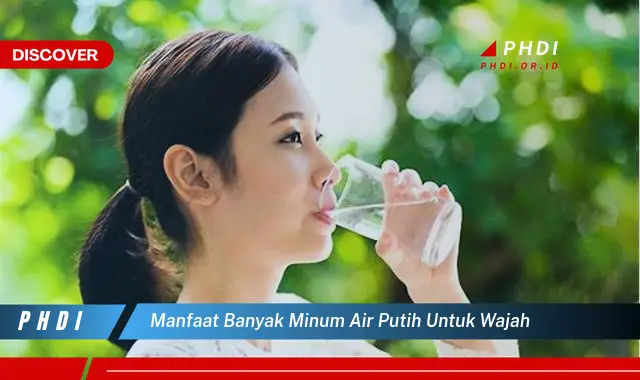 manfaat banyak minum air putih untuk wajah