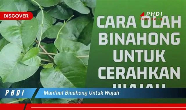 manfaat binahong untuk wajah