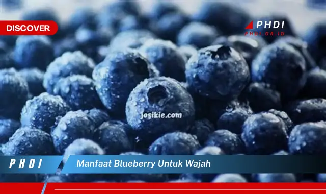 manfaat blueberry untuk wajah