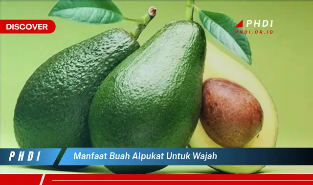 manfaat buah alpukat untuk wajah