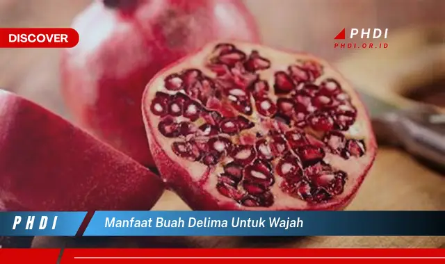 manfaat buah delima untuk wajah