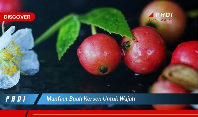 manfaat buah kersen untuk wajah