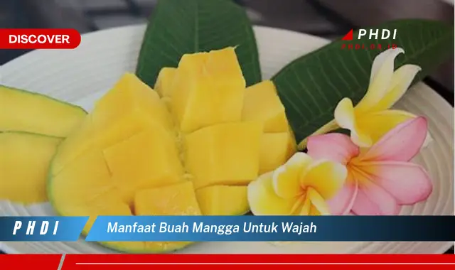 manfaat buah mangga untuk wajah