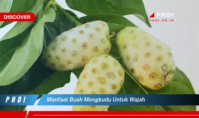 manfaat buah mengkudu untuk wajah