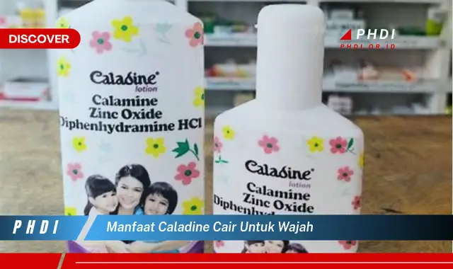 manfaat caladine cair untuk wajah