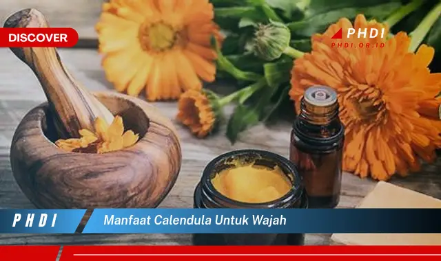 manfaat calendula untuk wajah