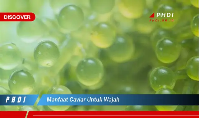 manfaat caviar untuk wajah