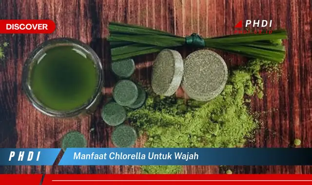 manfaat chlorella untuk wajah