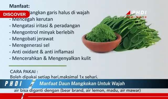 manfaat daun mangkokan untuk wajah