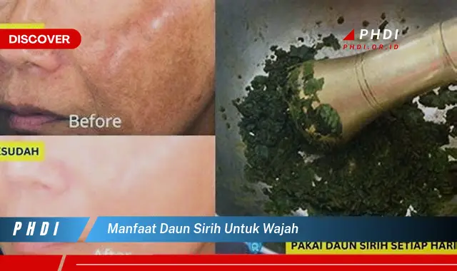 manfaat daun sirih untuk wajah