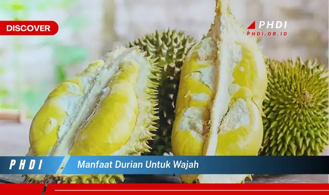 Temukan 7 Manfaat Durian untuk Wajah yang Wajib Kamu Intip