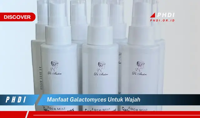 manfaat galactomyces untuk wajah