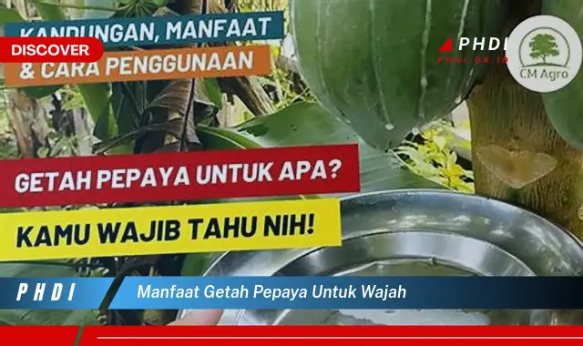 manfaat getah pepaya untuk wajah