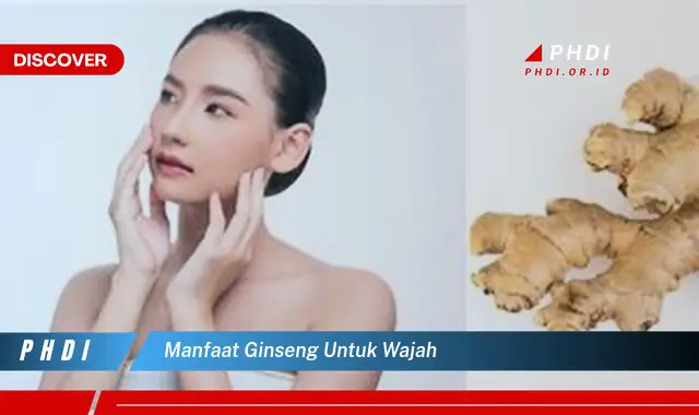 manfaat ginseng untuk wajah