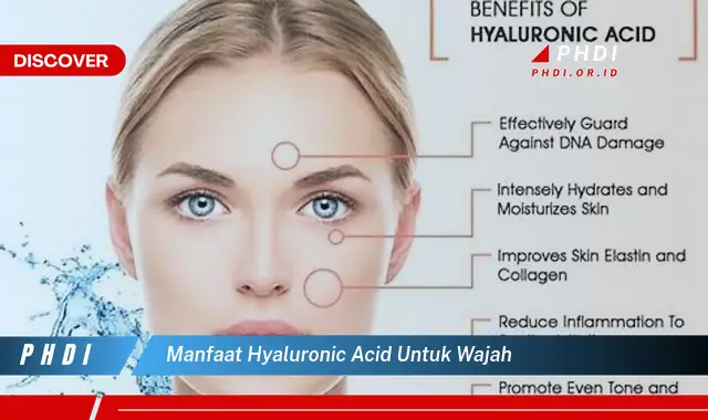 manfaat hyaluronic acid untuk wajah