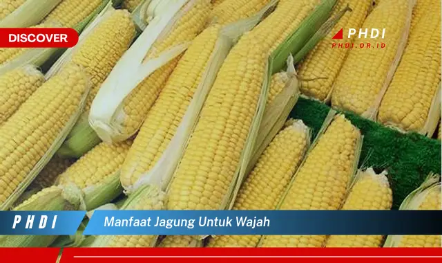 manfaat jagung untuk wajah