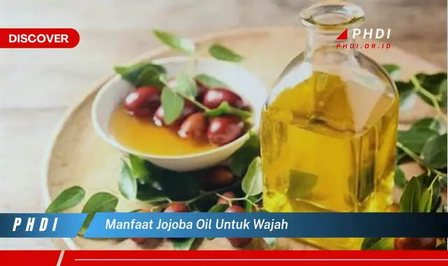 manfaat jojoba oil untuk wajah