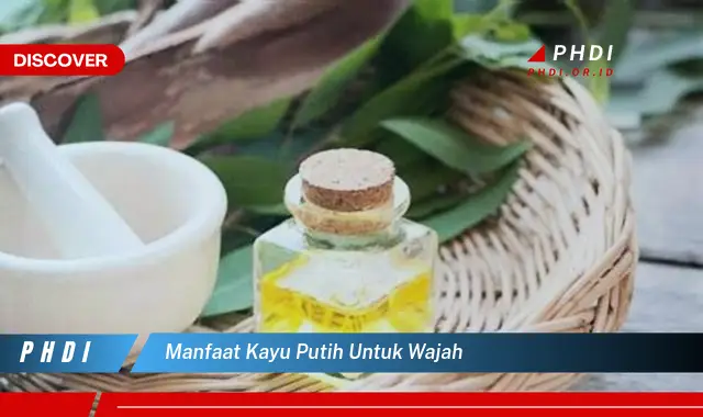 manfaat kayu putih untuk wajah