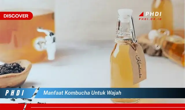 manfaat kombucha untuk wajah